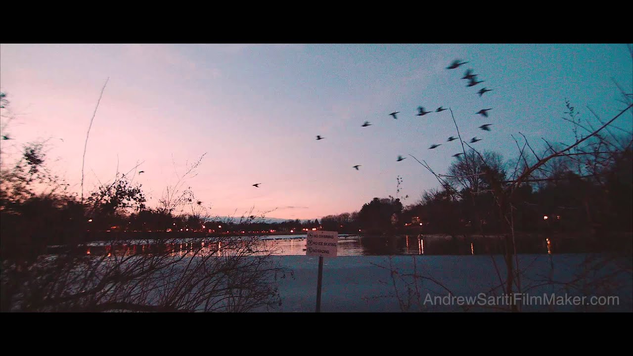 Video 0 by Andrew Sariti for Small Business Marketing Videos