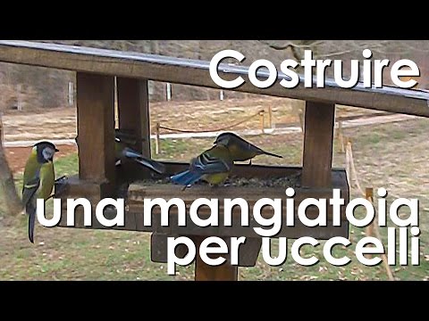 Medicina per prevenzione da vermi per adulti Medicina per vermi prazitsid