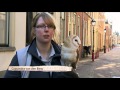Gelderse Koppen - 2 april 2016 - Omroep Gelderland