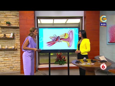 ¿Qué cuidados podemos aplicar en los oídos tras infecciones?