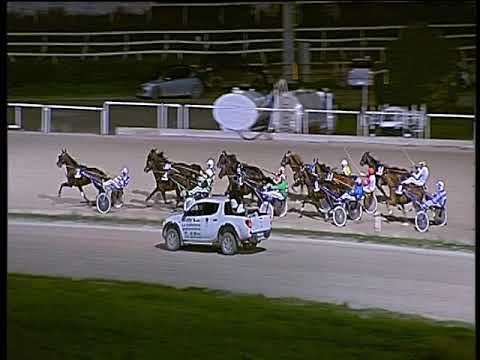 Trotto 01/12/2019 - 8ª corsa - TRIS