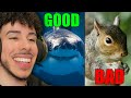 10 ANIMALS THAT ARE MISUNDERSTOOD BY HUMANS | Casual Geographic Reaction