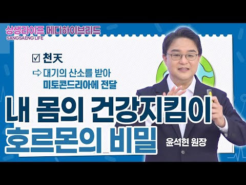 기초(숨) 수행과정