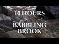 Babbling Brook | 10 hrs| Relaxing water sound for sleeping and Studying