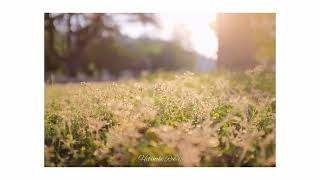 【作業用BGM/playlist】少し早起きした朝に聴く気持ちいい邦楽【オリジナルミックス】Mix by Hibinoki Roku.