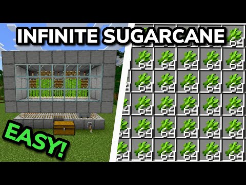 SIMPLE AUTOMATIC SUGARCANE FARM TUTORIAL for Minecraft Bedrock and Java