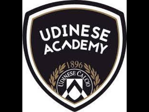 Academia Udinese MCR vs ACS Juniorul 2008 - Grupa 2010