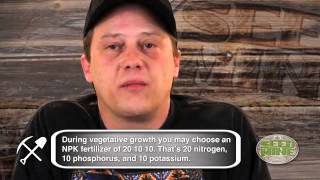 Organic OG vs  Chemical OG