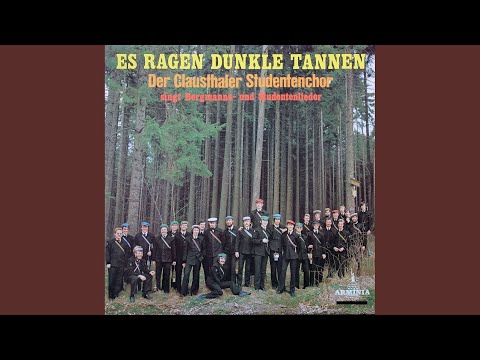 Es leben die Studenten