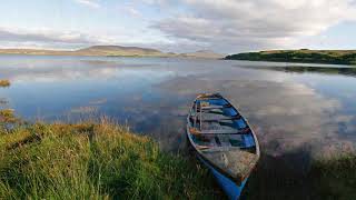 Bap Kennedy        The Beautiful Country