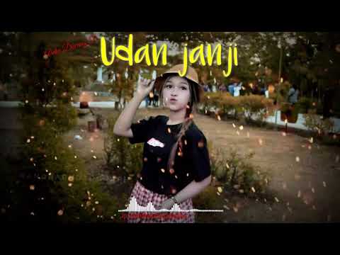Udan janji-ardia diwang p. cover edit with kine master terbaru