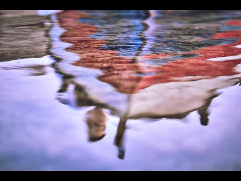 GESUE' - LUNA (Official Video)