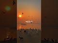 Bagh Ughaduni Dar ️ Marathi Song Lyrics Status Roop Kumar Rathod Song 🫶