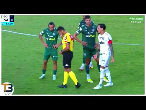 GOL DO GOIÁS NO PALMEIRAS FOI FALTA NO GOLEIRO WEVERTON?