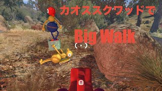 カオススクワッドでBig Walk　ヨシエ視点