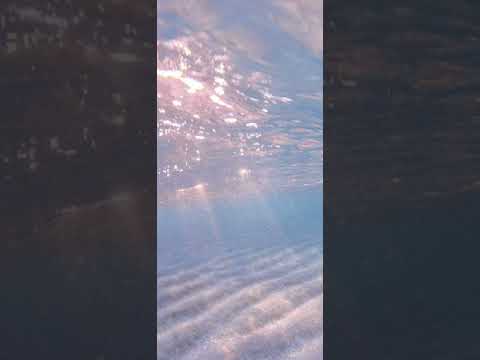 The Question - Mac Miller x Lil Wayne (Sped up)