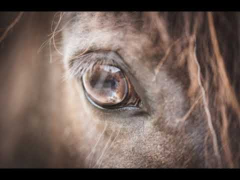 Karamel kel- Aglow (slowed+rain+1hour)