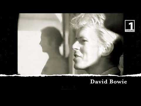1tribute2... David Bowie (2019) - A Tribute to the Thin White Duke