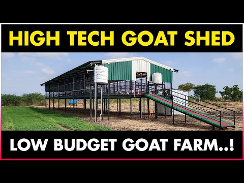High Tech GOAT SHED || Discover Agriculture