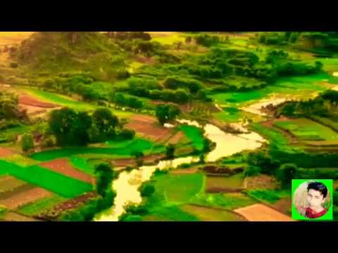 Lvly feat. Christine smit-Toxic Love (Lyric video)