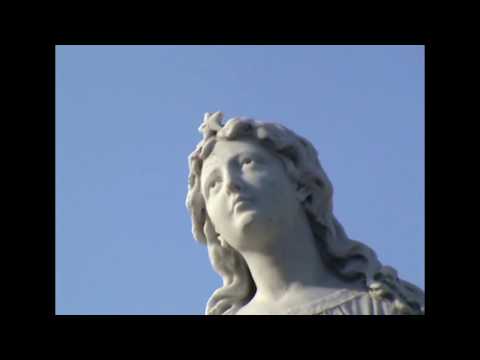 And in shallow waters, then i learned not to swim but to lie