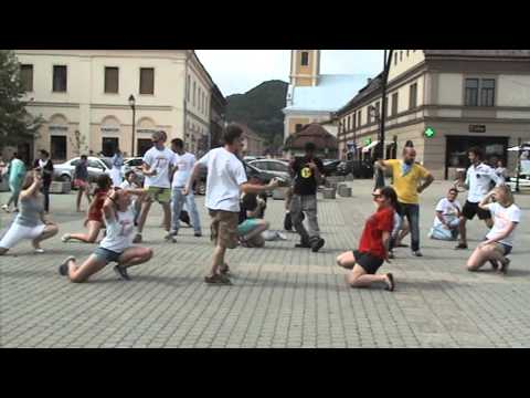 Flash Mob Europe Day