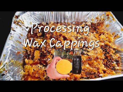 Cleaning Beeswax Cappings Small Batch - Processing Wax Cappings from our Small 4 Frame Honey Harvest