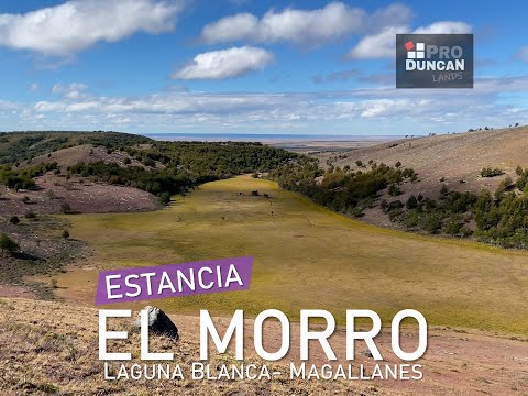 Estancia El Morro - Laguna Blanca - Magallanes