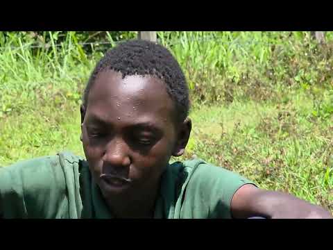 Follow up jigger visit with Suzanna & John - small irritating bugs (Dec 3rd 2025)