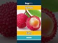 lychee - lichi video thumbnail
