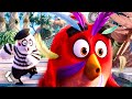 Las Mejores Y Más Divertidas Escenas De ANGRY BIRDS Películas