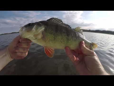 Fisketips för nybörjare - följ med experten Semir på en fisketur