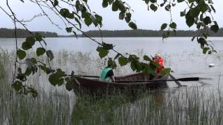 preview picture of video 'Haapalahti-soutu Kannonkoskella 18.7.2012'