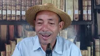 Sonhar com caranguejo o que significa caranguejo no mundo espiritual signo de câncer  caranguejo