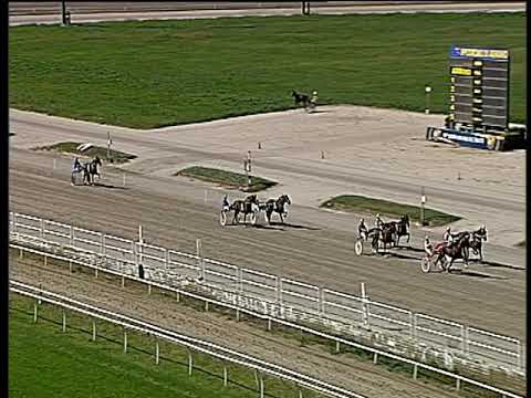 Trotto 04/10/2019 - 3ª prova di qualifica