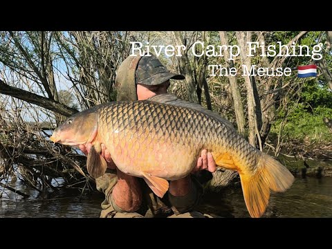 River Carp Fishing Vlog #10 Spring carp fishing on the river 2022 - PART 2 of 3 (ENGLISH)