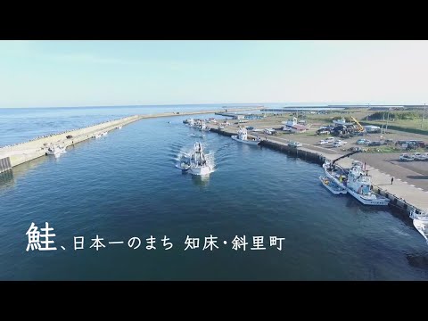 鮭、日本一のまち 知床・斜里町 PR動画