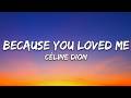 Celine Dion Because You Loved Me Theme From Up Close Personal Lyrics