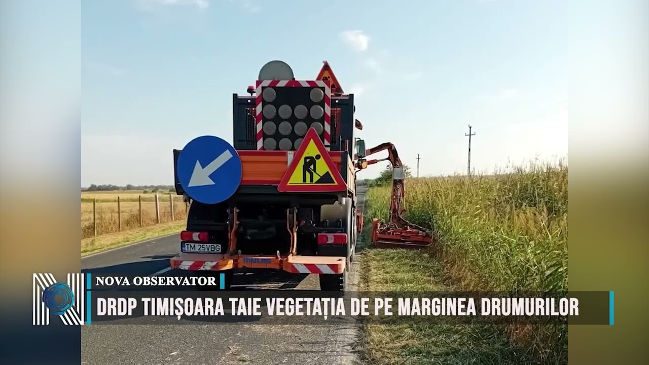 DRDP Timișoara taie vegetația de pe marginea drumurilor