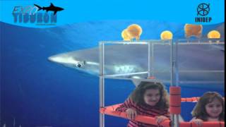 DIA 3 Expo Tiburon14