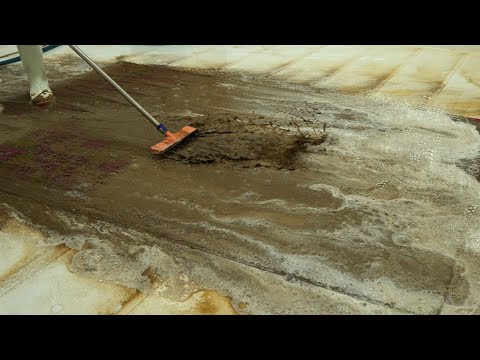 From Solid Mud to Stunning Colors | Extreme Carpet Cleaning ASMR, Satisfying ASMR Cleaning