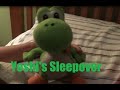 Yoshi S Sleepover