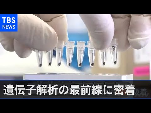 15,000年前のウイルスが氷河で発見 – 彼らは「超現実的な遺伝的特徴」を持っている