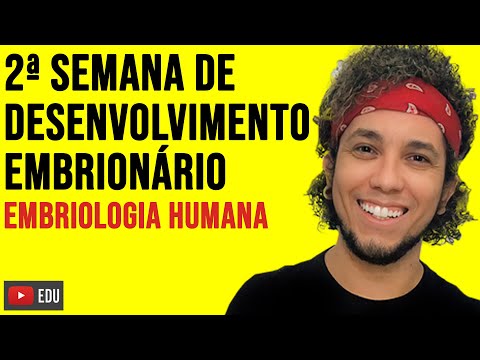 SEGUNDA SEMANA DE DESENVOLVIMENTO EMBRIONÁRIO - EMBRIOLOGIA - Biologia com Patrick Gomes