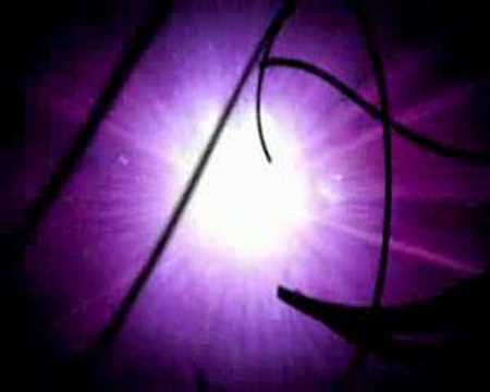 Saints Row 2 - Teaser Trailer (Xbox 360 / PS3)