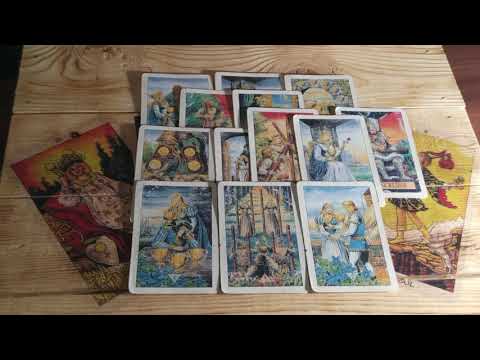 какой фирмы корм для кошек безопасный и полезный