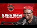 Title: Episode 8| City of Johannesburg MMC for Public Safety Dr. Mgcini Tshwaku on the EFF Podcast.