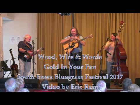 Wood, Wire & Words - Gold In Your Pan - South Essex Bluegrass Festival 2017