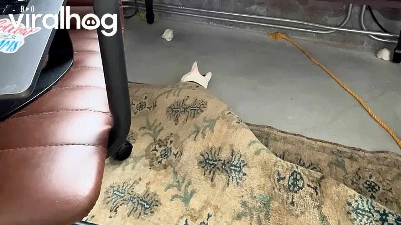 When Your Friend Doesn't Give You a Blanket at the Sleepover || ViralHog