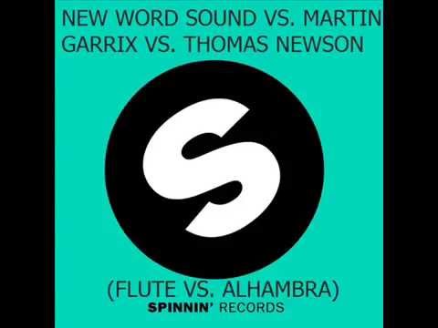 New Word Sound Vs  Martin Garrix Vs  Thomas Newson   Flute Vs  Alhambra